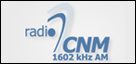 Radio CNM Arad Live